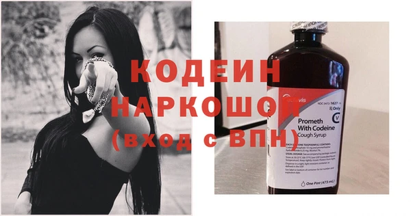 сатива Няндома
