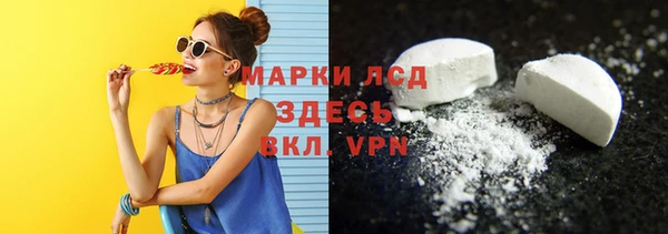 сатива Няндома