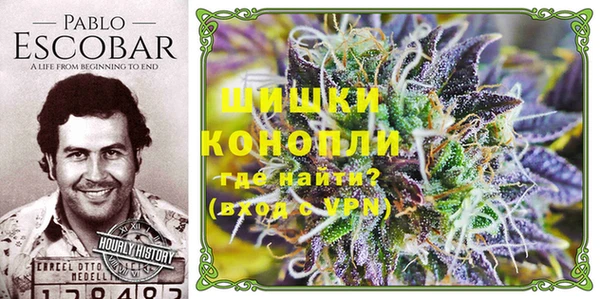 ешки Нягань