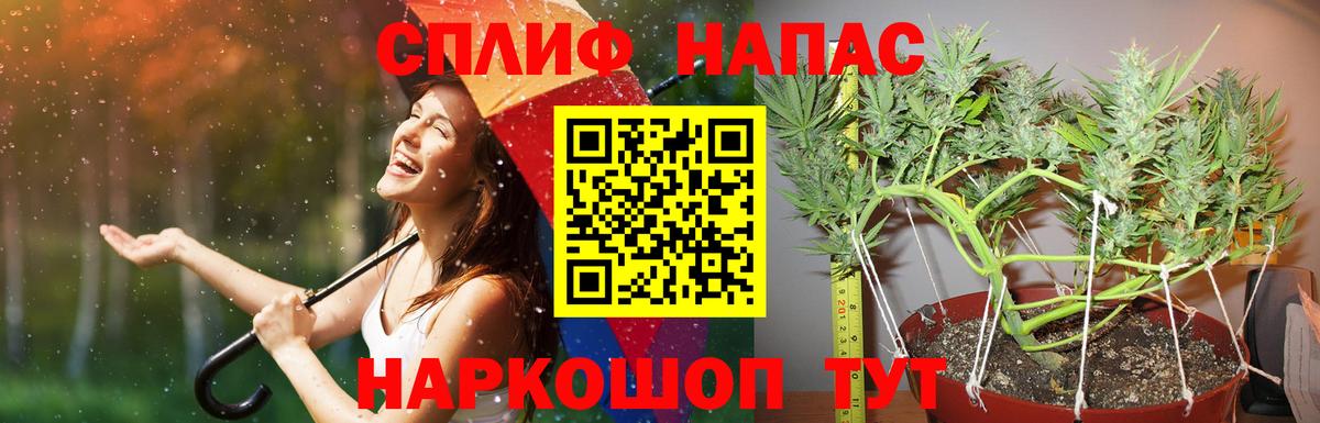 Бошки марихуана семена  Вход с VPN  Марихуана VHQ  Марихуана индика  Кимры 